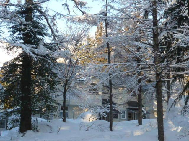 Hakuba Royal Suites Luaran gambar